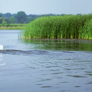 Mercury Avator elektrisk utombordare - nästa generations elmotor