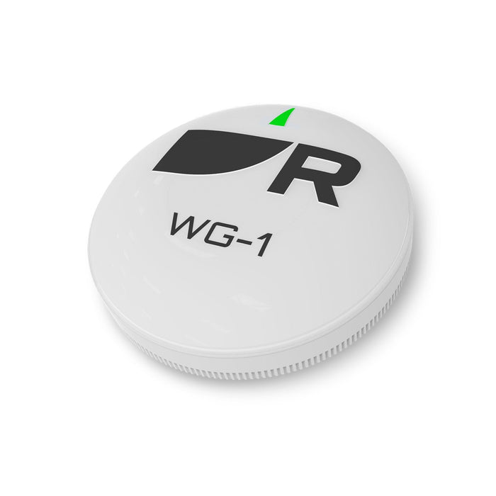 Raymarine RCU-1 Fjärrkontroll
